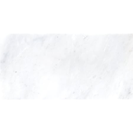Msi Arabescato Carrara White SAMPLE Polished Marble Floor And Wall Tile ZOR-NS-0038-SAM